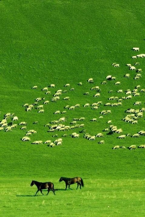 呼伦贝尔科技新品璀璨亮相,引领生活新纪元